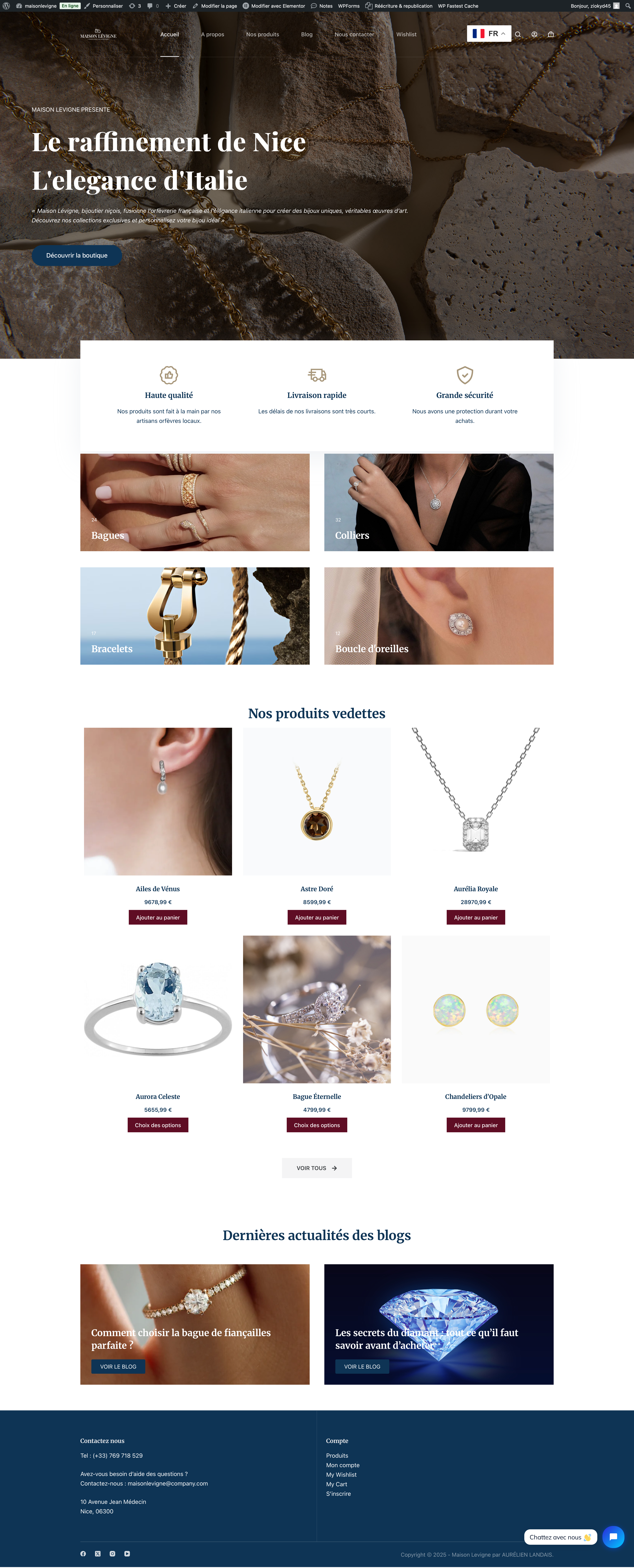 Page d'accueil du site Maison Lévigne